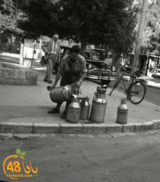 yaaffa oldjer (12).jpg